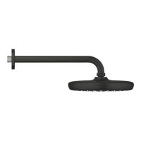 Верхній душ Grohe Tempesta чорний матовий 1022182430