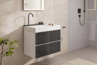 Раковина підвісна Hansgrohe Avalegra 78 см білий матовий/золото 22473990
