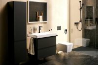 Ручной душ Hansgrohe Pulsify Select S черный матовый 24111670