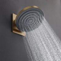 Держатель для верхнего душа Hansgrohe Pulsify бронза 24149140