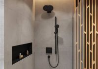 Верхній душ Hansgrohe Pulsify чорний матовий 24151670