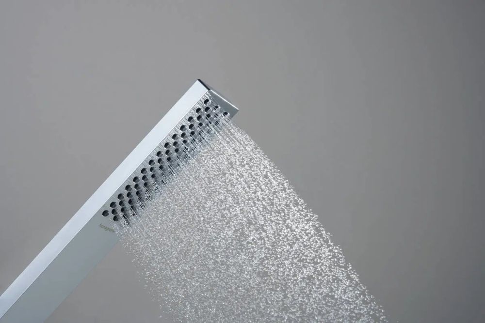 Ручний душ Hansgrohe Pulsify E хром 24320000