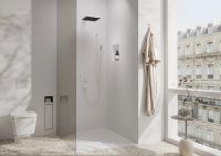 Верхній душ Hansgrohe Pulsify E білий матовий 24331700