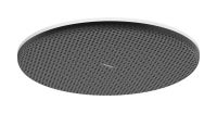 Верхній душ Hansgrohe Raindance Alive S білий матовий 24520700