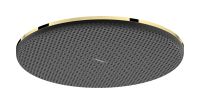 Верхний душ Hansgrohe Raindance Alive S золото 24520990
