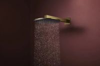 Верхний душ Hansgrohe Raindance Alive S золото 24520990