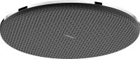 Верхній душ Hansgrohe Raindance Alive S хром 24521000
