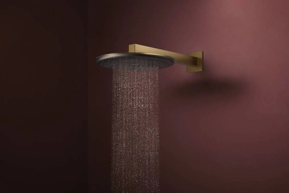 Верхний душ Hansgrohe Raindance Alive S бронза 24521140