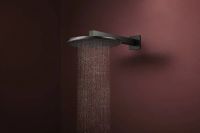 Верхний душ Hansgrohe Raindance Alive S черный матовый хром 24521340