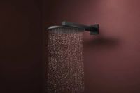 Верхній душ Hansgrohe Raindance Alive S чорний матовий 24521670
