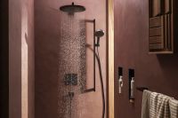 Верхній душ Hansgrohe Raindance Alive S чорний матовий 24521670