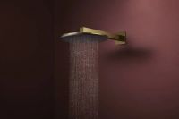 Верхний душ Hansgrohe Raindance Alive S золото 24521990