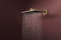 Верхній душ Hansgrohe Raindance Alive Q бронза 24530140
