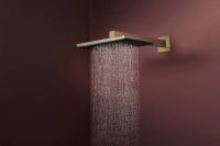 Верхній душ Hansgrohe Raindance Alive Q бронза 24530140