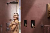 Верхній душ Hansgrohe Raindance Alive S хром 24540000