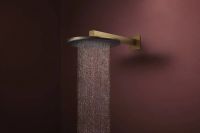 Верхній душ Hansgrohe Raindance Alive S бронза 24540140