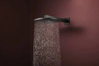 Верхній душ Hansgrohe Raindance Alive S чорний матовий 24540670