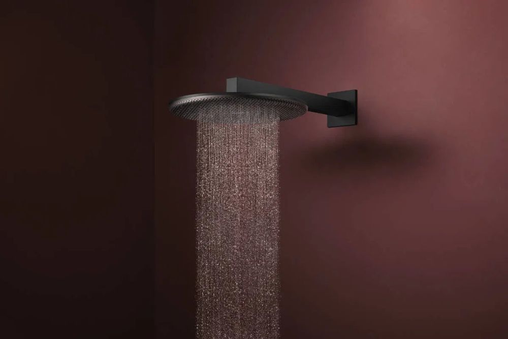 Верхній душ Hansgrohe Raindance Alive S чорний матовий 24540670