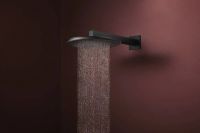 Верхній душ Hansgrohe Raindance Alive S чорний матовий 24540670