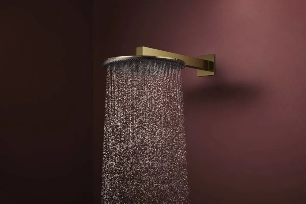Верхний душ Hansgrohe Raindance Alive S золото 24540990