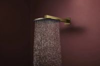 Верхний душ Hansgrohe Raindance Alive S золото 24540990