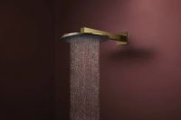Верхний душ Hansgrohe Raindance Alive S золото 24540990