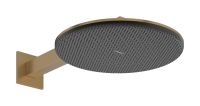 Верхний душ Hansgrohe Raindance Alive S бронза 24541140