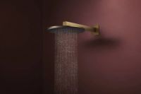 Верхний душ Hansgrohe Raindance Alive S бронза 24541140