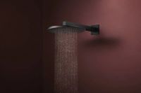 Верхний душ Hansgrohe Raindance Alive S черный матовый 24541670