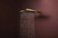 Душевая система с термостатом Hansgrohe Raindance Alive S бронза 24593140