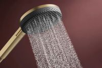 Душевой гарнитур Hansgrohe Raindance Alive S бронза 24602140