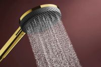 Душовий гарнітур Hansgrohe Raindance Alive S золото 24603990