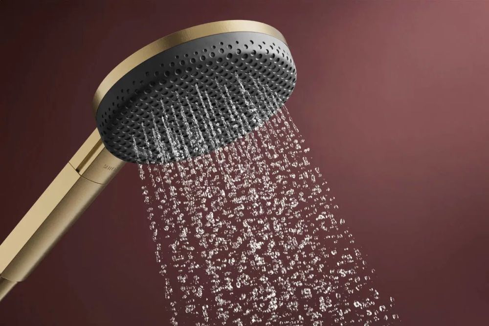 Душевой гарнитур Hansgrohe Raindance Alive S бронза 24611140