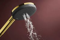 Душовий гарнітур Hansgrohe Raindance Alive S золото 24611990