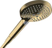 Ручний душ Hansgrohe Raindance Select золото 26014990