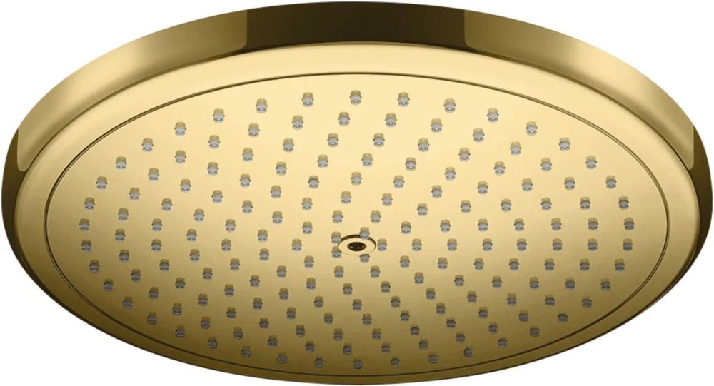 Верхний душ Hansgrohe Croma золото 26220990
