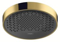 Верхній душ Hansgrohe Rainfinity золото 26229990