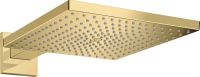 Верхній душ Hansgrohe Raindance E золото 26239990