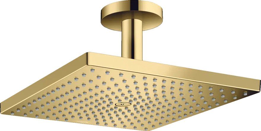 Верхний душ Hansgrohe Raindance золото 26250990