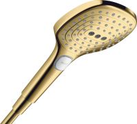 Ручний душ Hansgrohe Raindance E золото 26520990