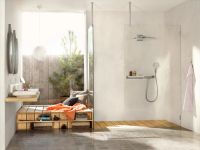 Ручний душ Hansgrohe Raindance Select бронза 26530140