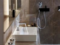 Ручний душ Hansgrohe Raindance Select бронза 26530140
