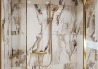 Ручний душ Hansgrohe Raindance Select золото 26531990