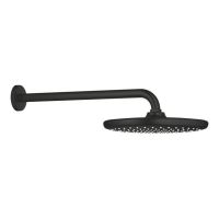 Верхній душ Grohe Tempesta чорний матовий 266682430