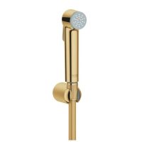 Гігієнічний душ Grohe Tempesta-F холодний світанок 27513GL1