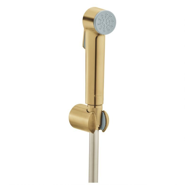 Гігієнічний душ Grohe Tempesta-F холодний світанок матовий 27513GN1