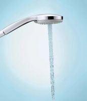 Ручний душ Hansgrohe Croma хром 28536000