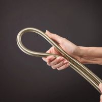 Душевая система с термостатом Hansgrohe Raindance S бронза 28823140