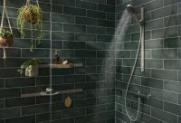 Тримач для ручного душу Hansgrohe WallStoris бежевий 28918210