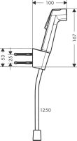 Гигиенический душ Hansgrohe Bidette бронза 29238140